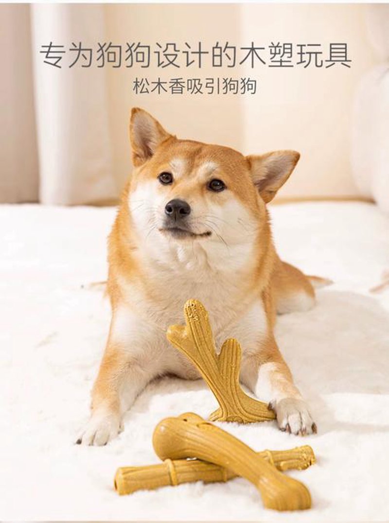 猫咪用品