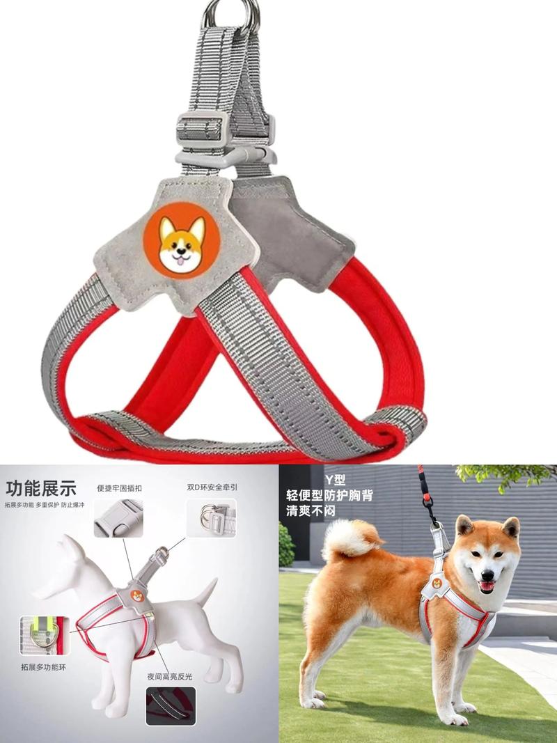 宠物玩具：宠物快乐的源泉