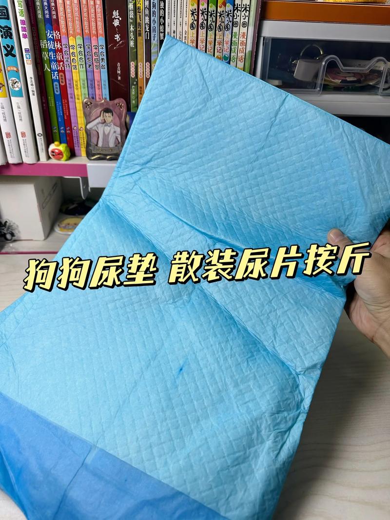 宠物用品批发攻略：新手必备选品指南