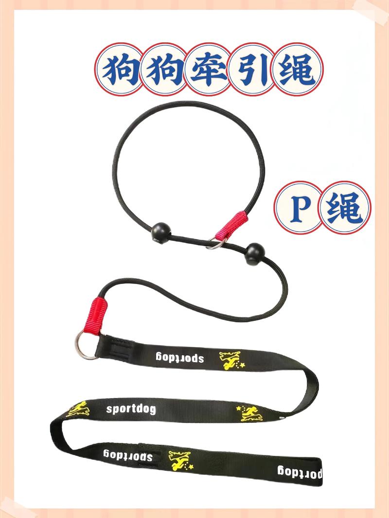 宠物洗护用品：清洁与温柔的双重守护