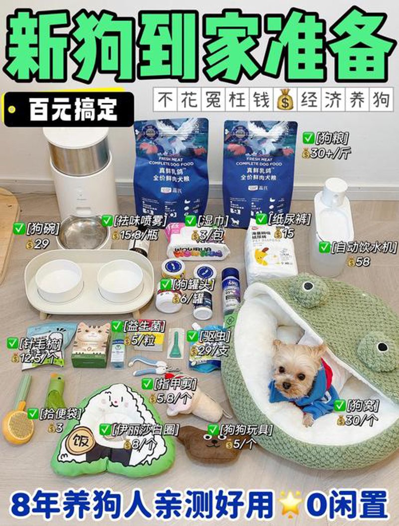 狗狗用品